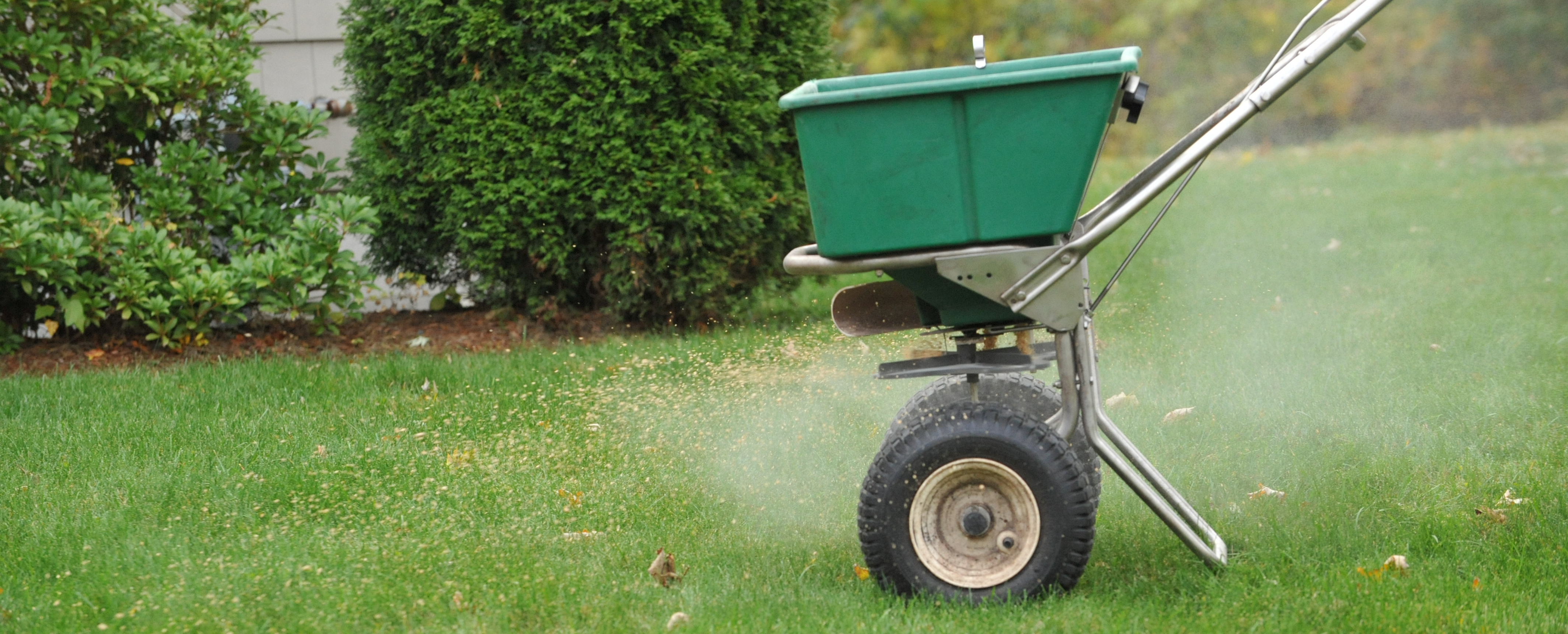 Without Snow, Early Spring Fertilizer is a Must | Organic Soil Solutions